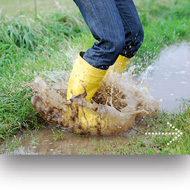 ZBI Gebührensplitting